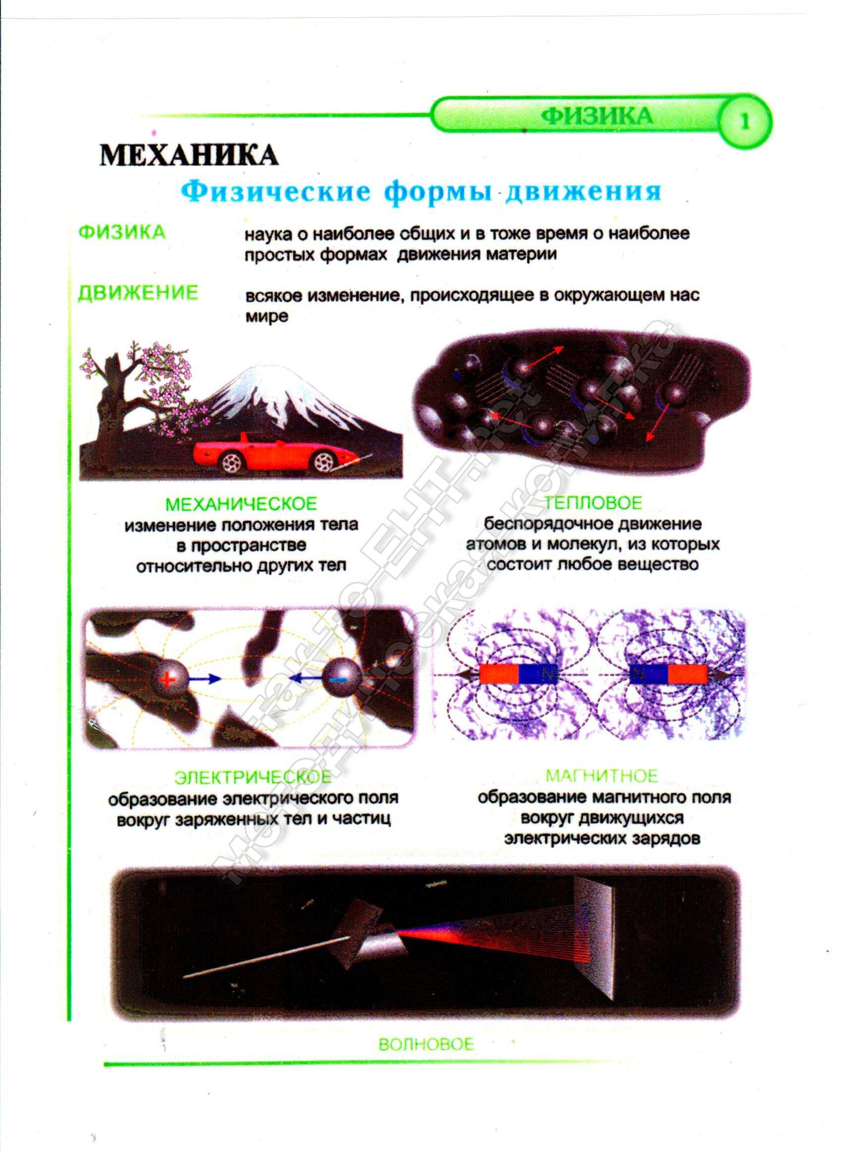 Физические формы движения 