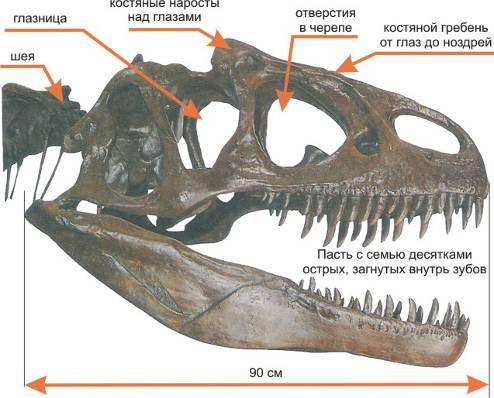 Описание:
http://tak-to-ent.net/images/nach/image009.jpg